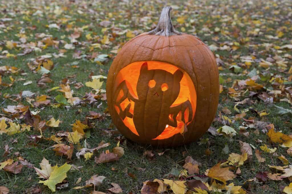 Hallloween Pumpkin with Bat Carving
